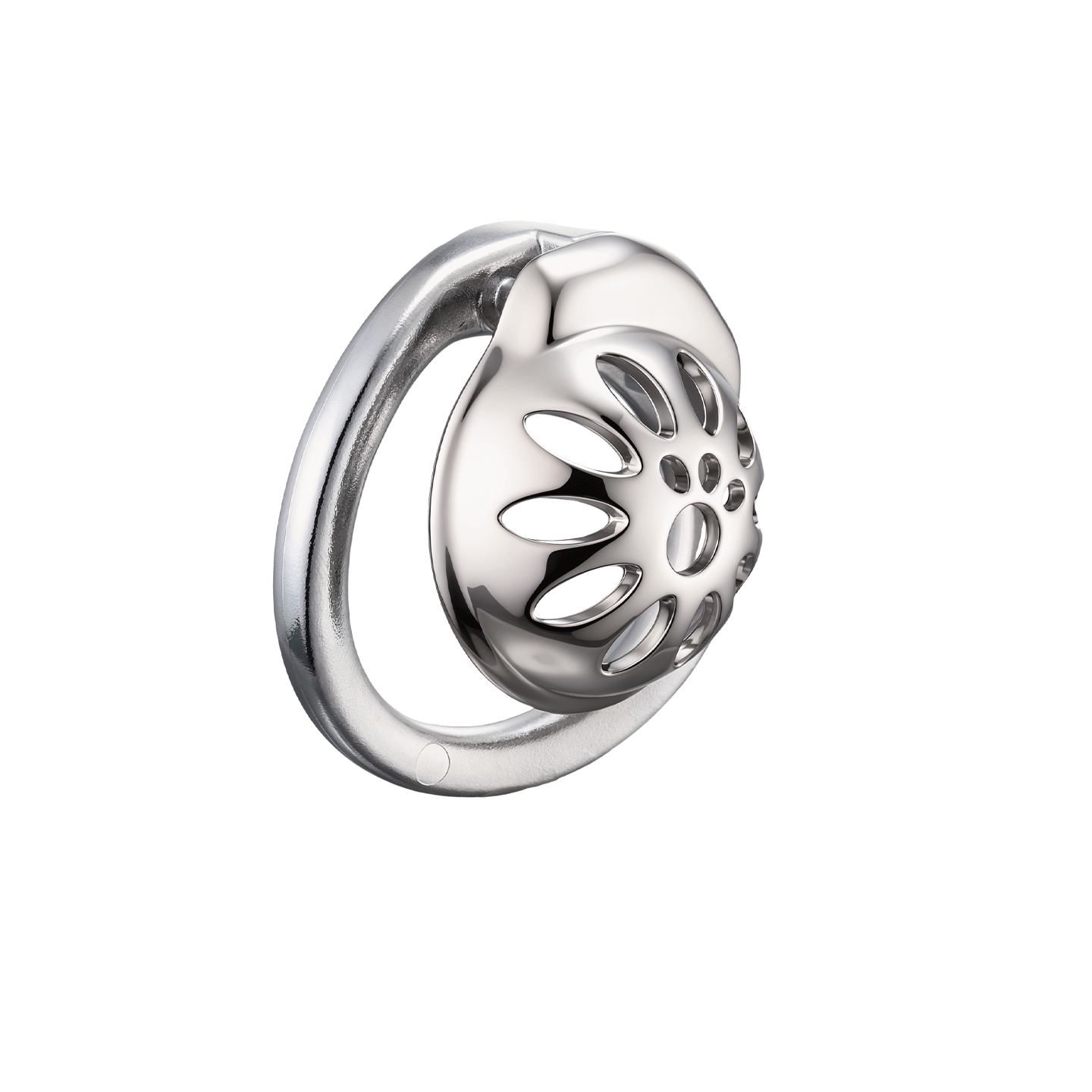 Cage de chasteté masculine ave - Men Accessories Jewellery avis et prix